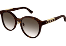 GG1191SK Gucci / Havana/Brown Gradient(002) / 56-20-150