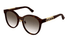 GG1191SK Gucci / Havana/Brown Gradient(002) / 56-20-150