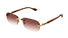GG1221S-Gucci / Gold Havana/Yellow Red(004) / 56-16-140