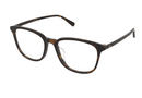 GG1230OA Gucci / Havana(001) / 53-17-145