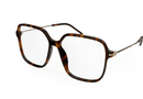 GG1271O Gucci / Havana(002) / 56-14-145