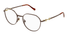 GG1336O Gucci / Brown(001) / 52-19-140