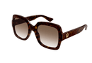 GG1337S Gucci / Havana/Brown Gradient(003) / 54-22-140