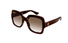 GG1337S Gucci / Havana/Brown Gradient(003) / 54-22-140