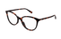 GG1359O-Gucci / Havana(002) / 54-16-140