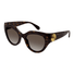 GG1408S-Gucci / Havana(003) / 52-21-140