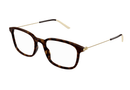 GG1577O-Gucci / Havana/Gold(005) / 54-19-145