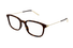 GG1577O-Gucci / Havana/Gold(005) / 54-19-145