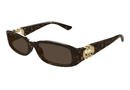 GG1661S-Gucci / Havana/Brown(002) / 54-16-135