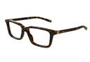 GG1672O-Gucci / Havana(006) / 56-18-150