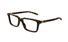 GG1672O-Gucci / Havana(006) / 56-18-150