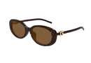 GG1684SA-Gucci / Havana/Brown(004) / 55-18-145