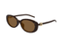 GG1684SA-Gucci / Havana/Brown(004) / 55-18-145