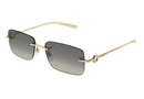 GG1703S-Gucci / Gold/Grey(005) / 55-17-140