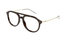 GG1708O-Gucci / Havana/Gold(002) / 53-17-140