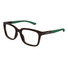 GG1738O-Gucci / Havana/Green(003) / 52-17-145