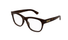 GG1796O Gucci / Havana(002) / 55-19-145