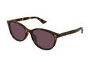 GG1818SK-Gucci / Havana/Violet(002) / 56-17-145