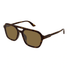 GG1823SA-Gucci / Havana/Brown(002) / 57-18-145
