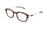 GG1891O-Gucci / Havana/Gold(002) / 49-21-145