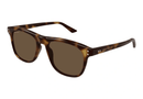 GG1893S Gucci / Havana/Brown(002) / 53-18-145