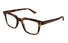 GG1895O-Gucci / Havana(002) / 49-19-145