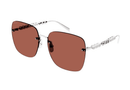 GG1923SA Gucci / Silver/Dark Brown(002) / 63-17-145