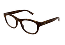 GG1929O-Gucci / Havana(002) / 53-20-145