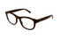 GG1929O-Gucci / Havana(002) / 53-20-145