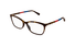 GG1930O-Gucci / Havana(004) / 55-16-140