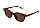 GG1946S Gucci / Havana/Brown(002) / 48-21-140