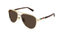 GG1962S Gucci / Gold/Brown(002) / 56-16-145