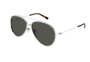 GG1981S Gucci / Silver/Grey(005) / 56-15-145