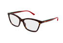 GG1989O Gucci / Havana(002) / 56-16-145