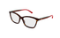 GG1989O Gucci / Havana(002) / 56-16-145