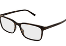 GG1997O Gucci / Havana(002) / 55-16-145