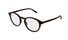 GG1998O Gucci / Havana(002) / 49-20-145