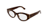 GG2041O Gucci / Havana(002) / 50-20-140