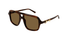 GG2052S Gucci / Havana/Brown(009) / 55-16-145