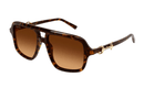 GG2052S Gucci / Havana/Brown Gradient(008) / 55-16-145