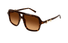 GG2052S Gucci / Havana/Brown Gradient(008) / 55-16-145