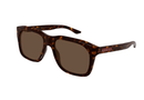GG2077S Gucci / Havana/Brown(002) / 55-17-145