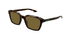 GG2077S Gucci / Havana/Brown(002) / 52-19-145