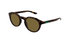 GG2079S Gucci / Havana/Brown(002) / 48-22-145
