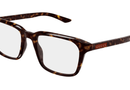 GG2081O Gucci / Havana(006) / 53-19-145