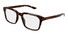GG2081O Gucci / Havana(006) / 53-19-145