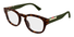 GG2090O Gucci / Havana(004) / 50-21-145