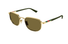 GG2093S Gucci / Gold/Brown(003) / 54-19-145