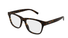 GG2108O Gucci / Havana(002) / 55-17-145