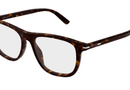 GG2130O Gucci / Havana(002) / 53-16-145